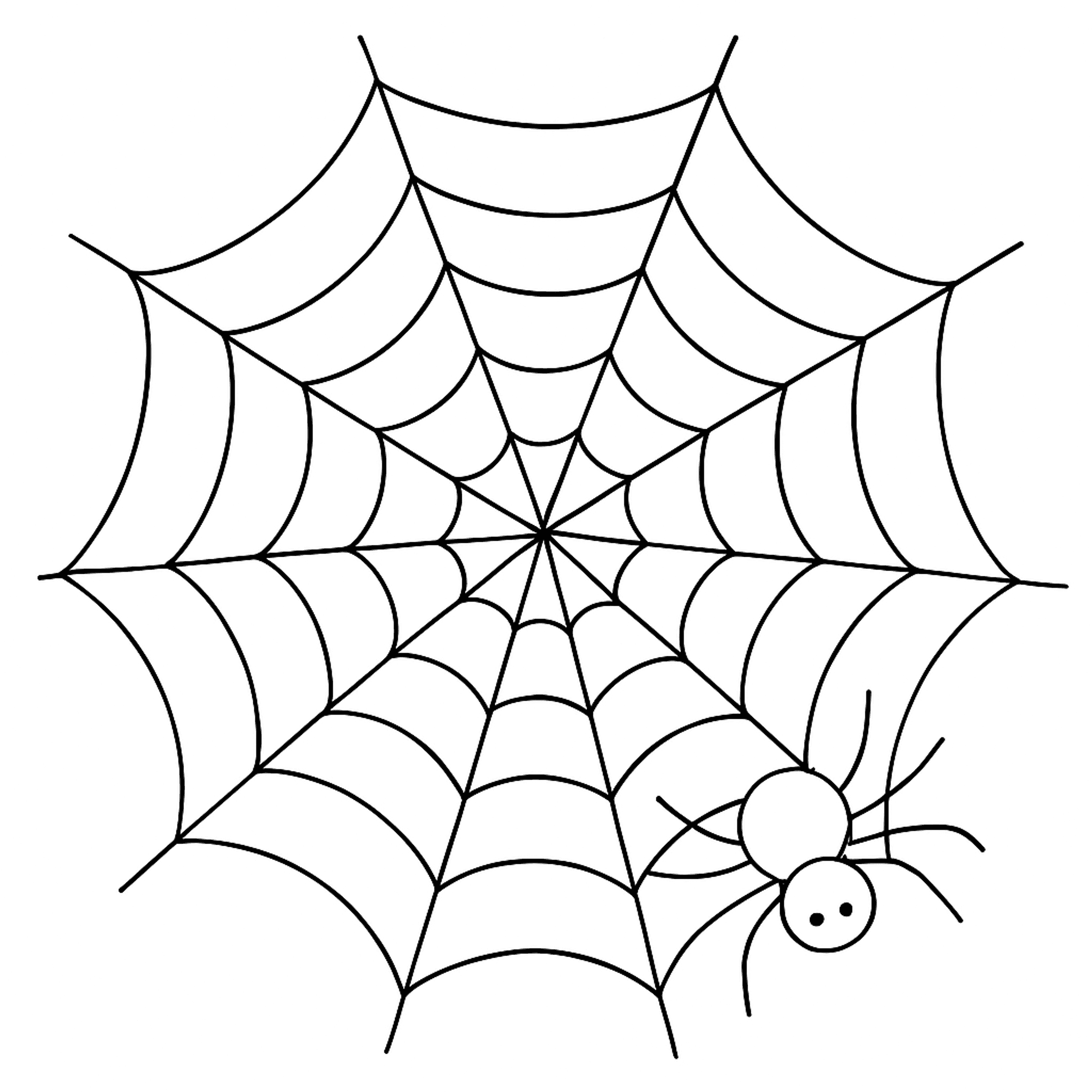 Halloween Spinnenweb Kleurplaat