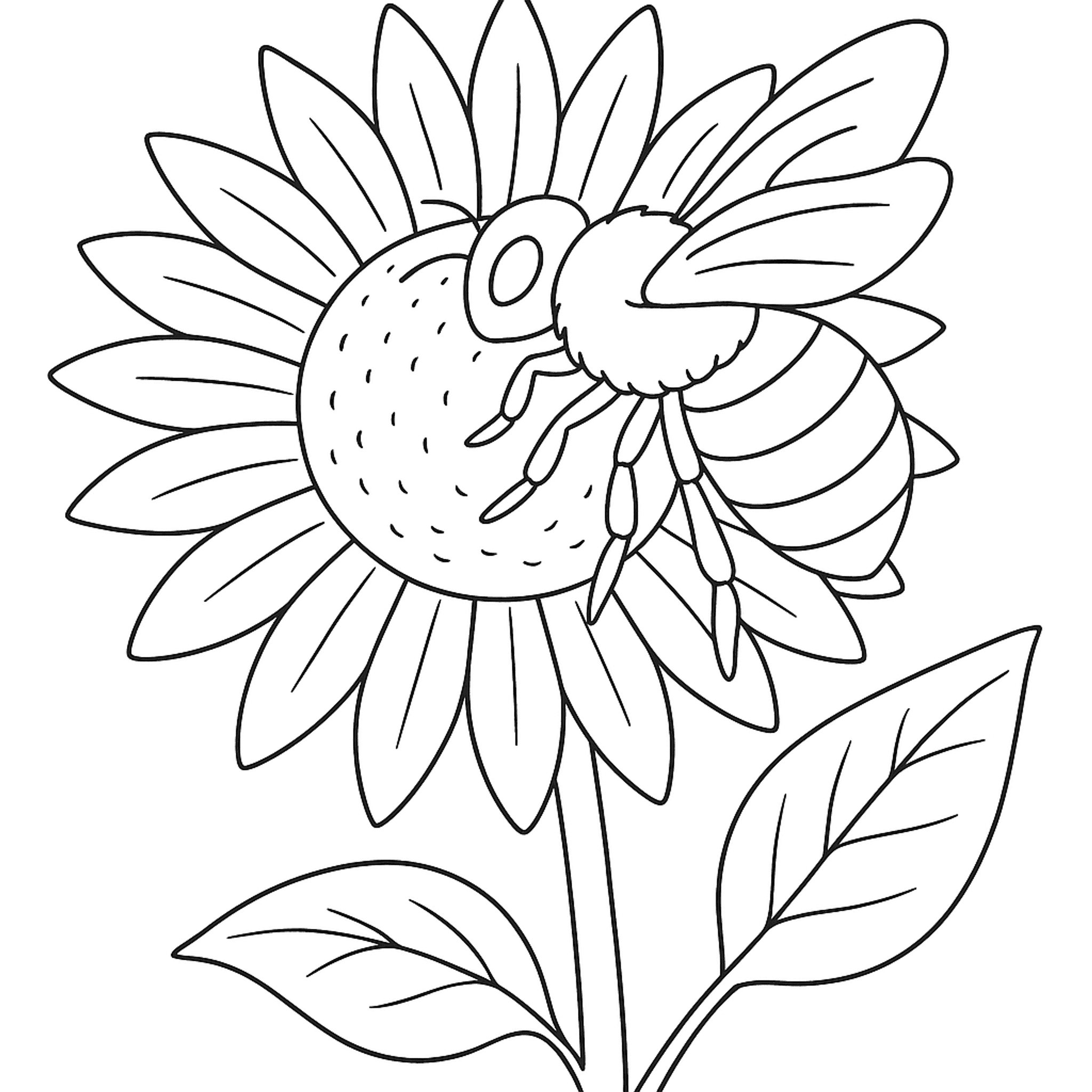 Hommel Kleurplaat