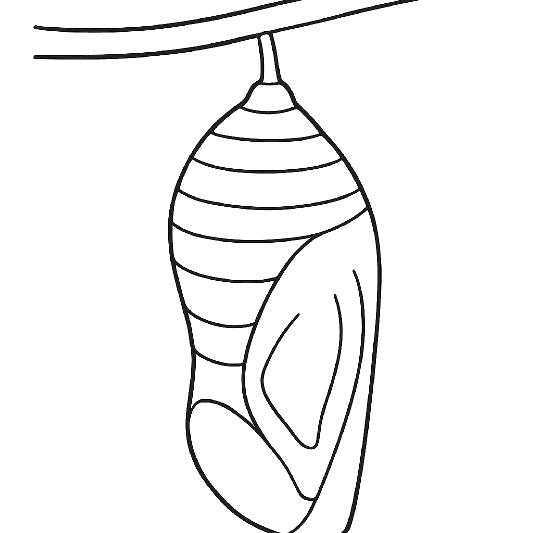 Vlindercocon Kleurplaat