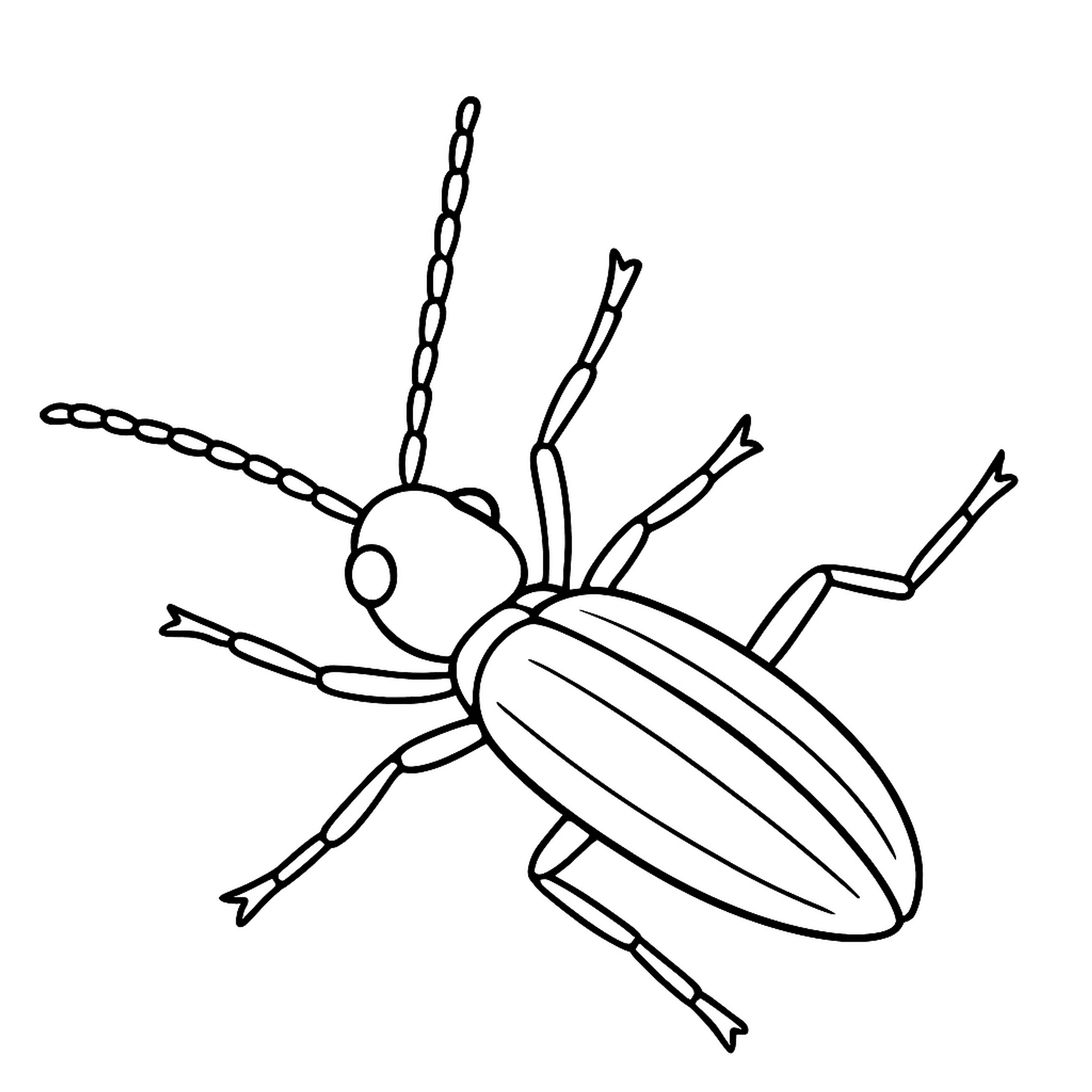 Click Beetle Flipping Kleurplaat