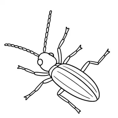 Click Beetle Flipping Kleurplaat