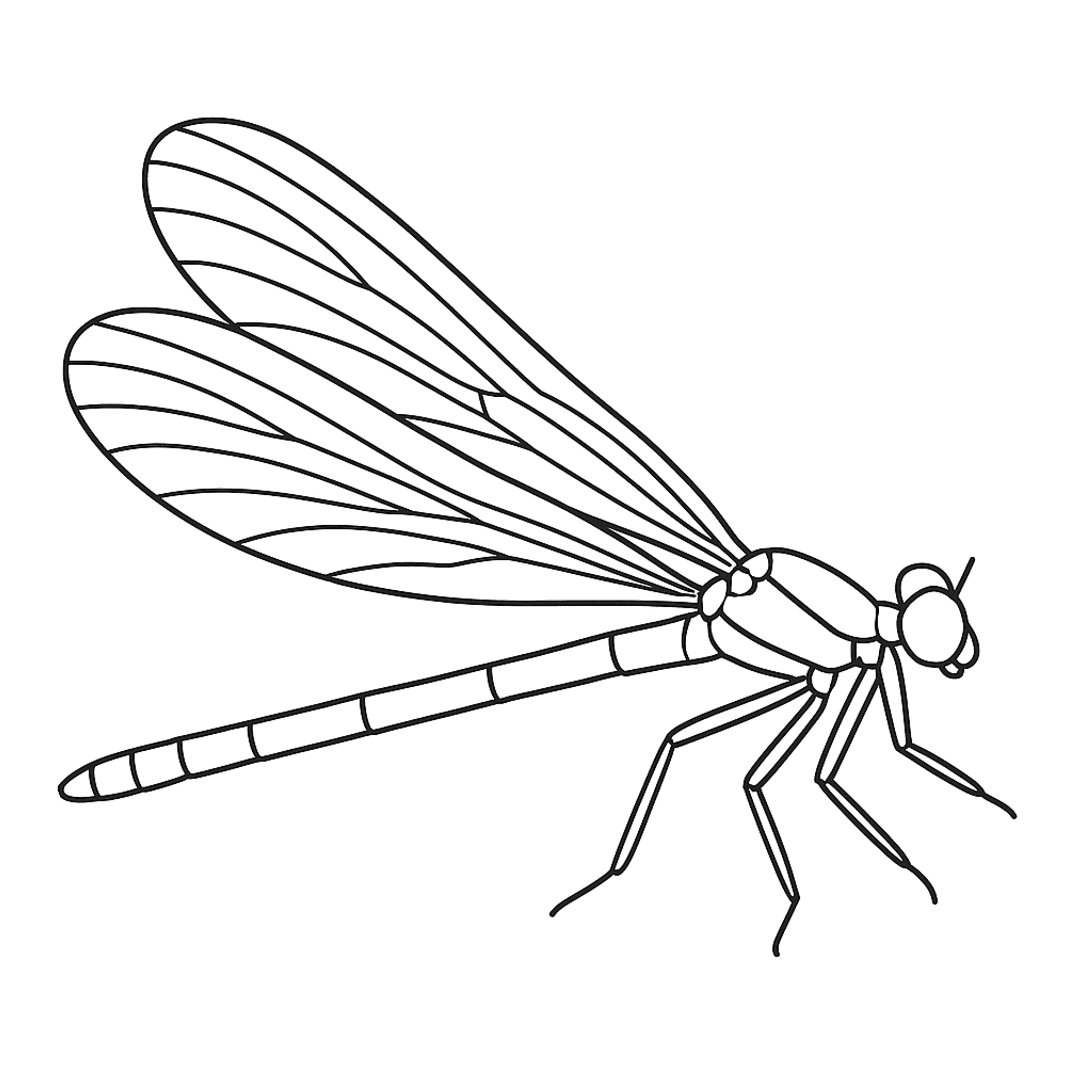Juffer Kleurplaat