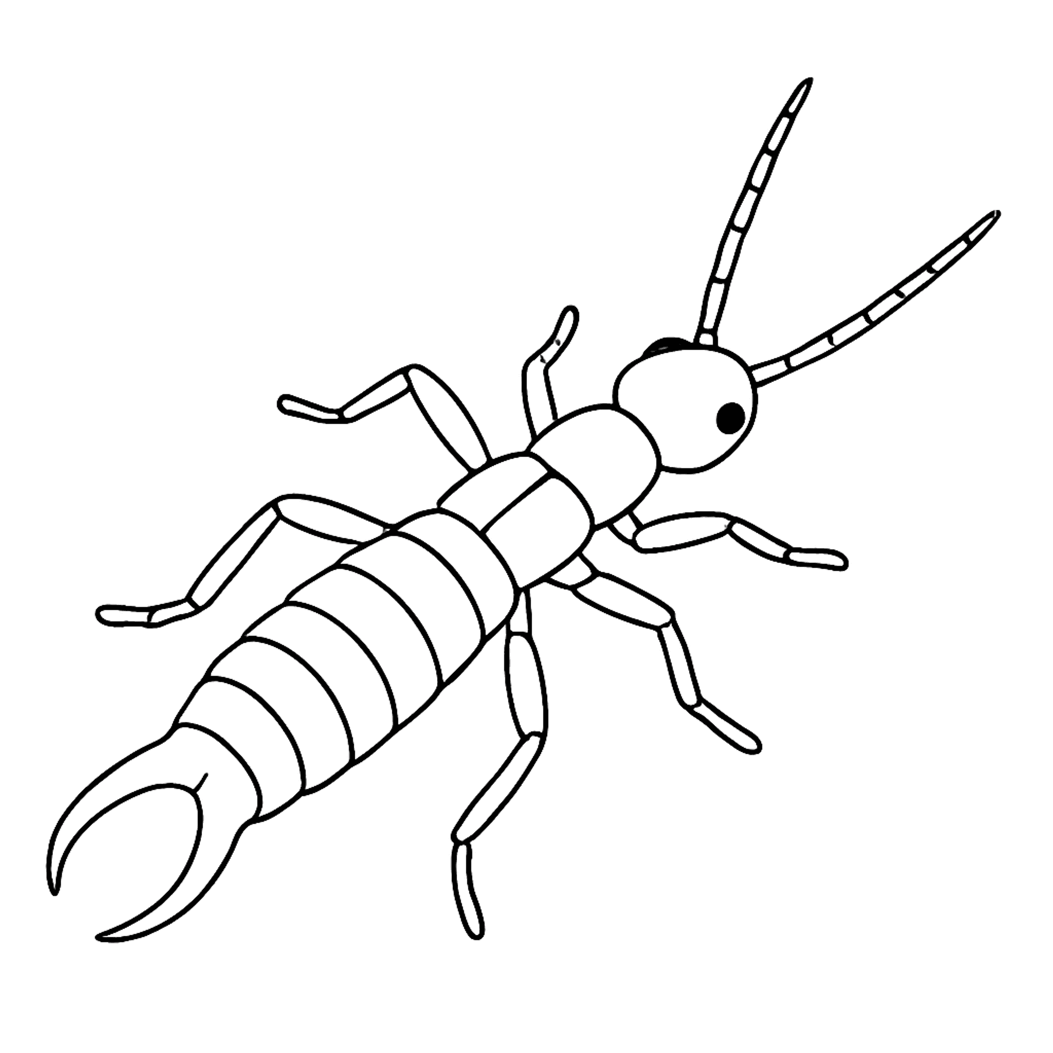 Oorworm Kleurplaat