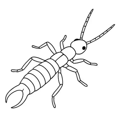 Oorworm Kleurplaat
