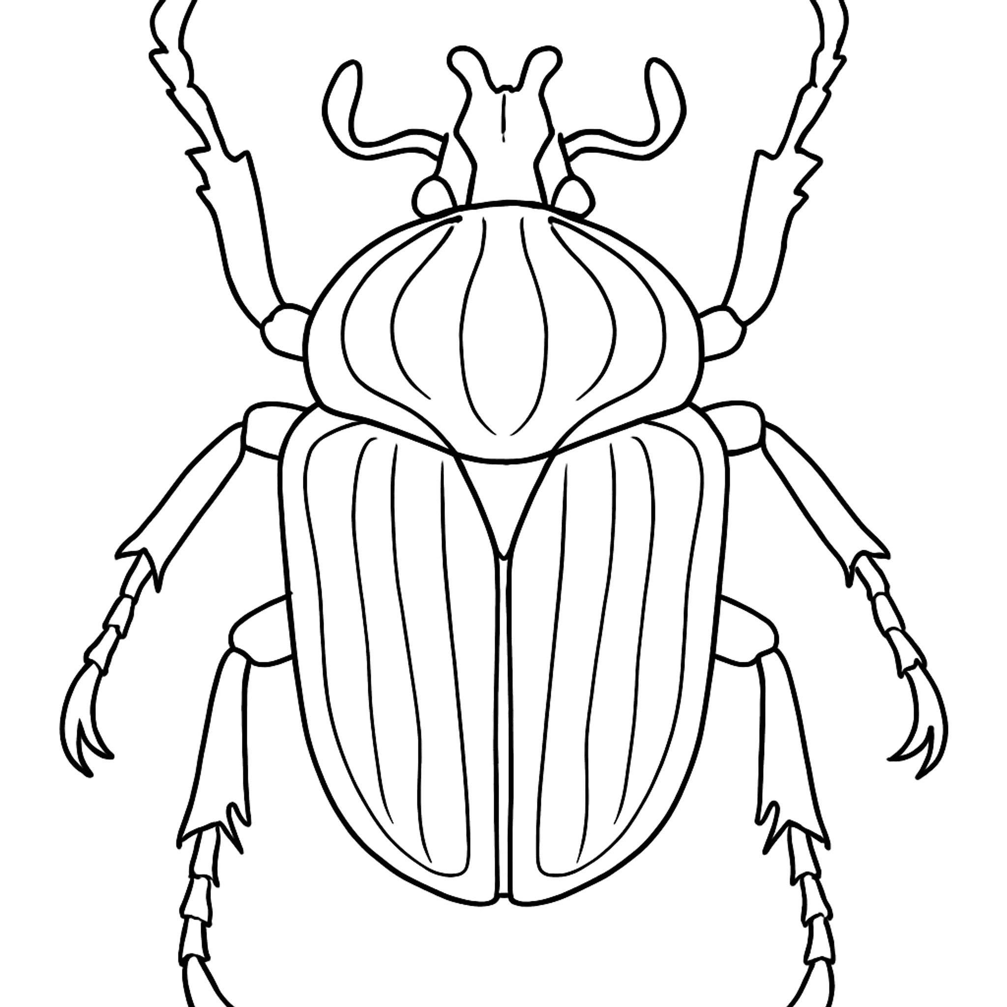 Goliath Beetle Giant Kleurplaat