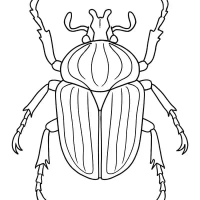 Goliath Beetle Giant Kleurplaat