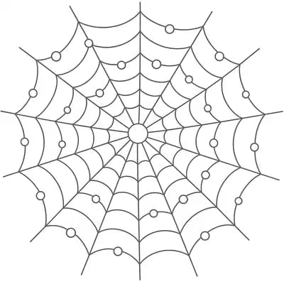 Orb Weaver Spider Kleurplaat