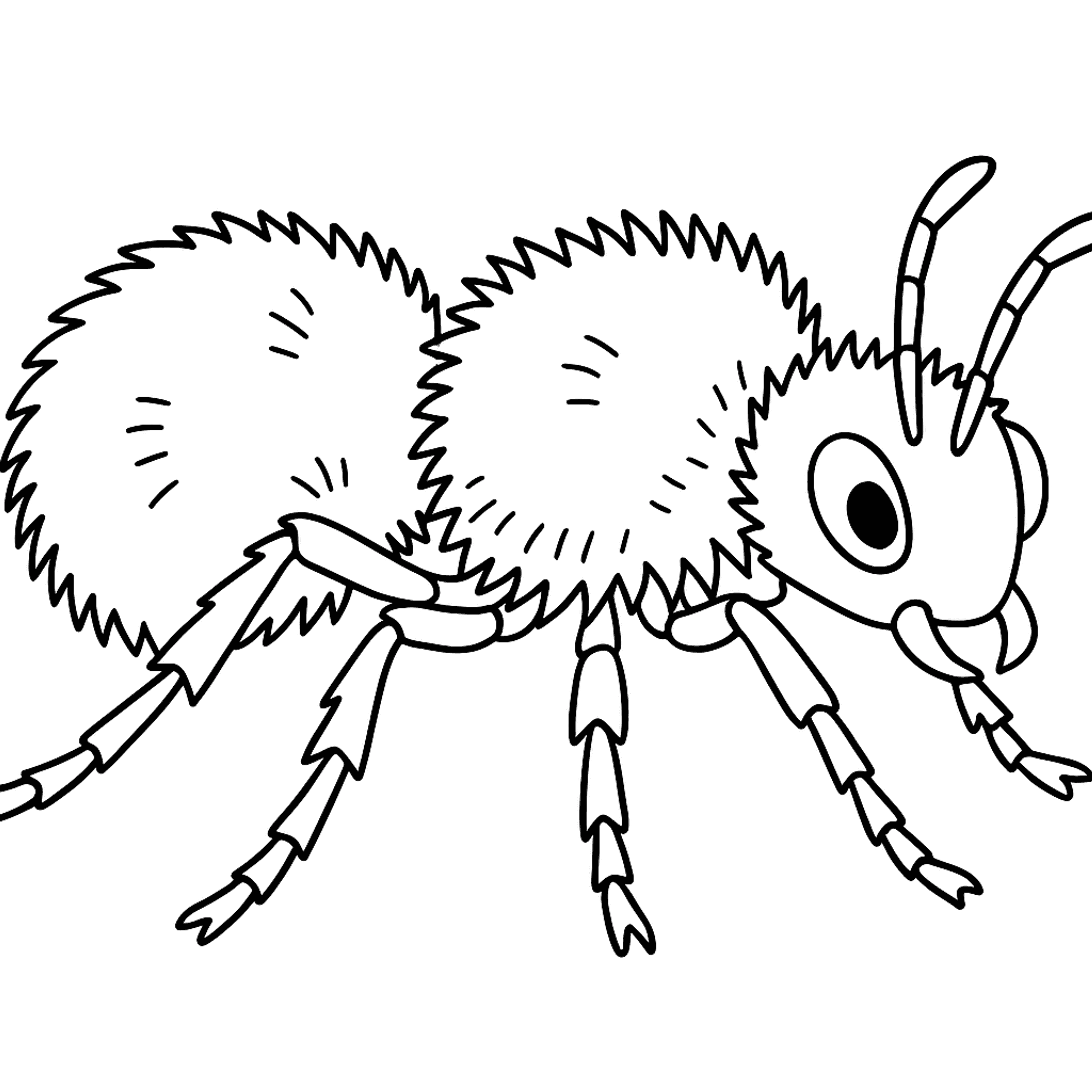 Velvet Ant Fuzzy Kleurplaat