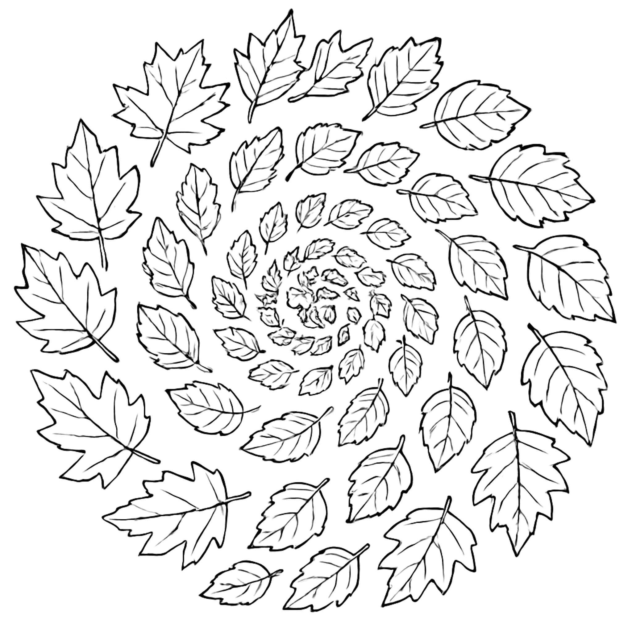 Herfst Mandala Kleurplaat