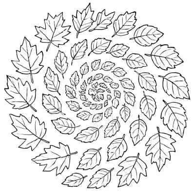 Herfst Mandala Kleurplaat