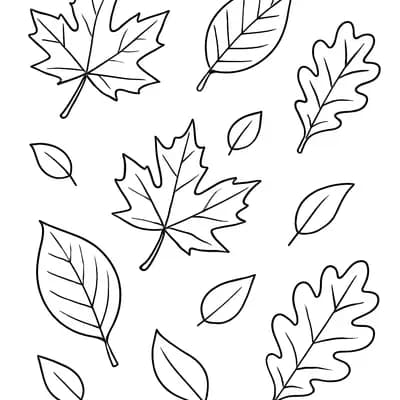 Herfstbladeren Kleurplaat