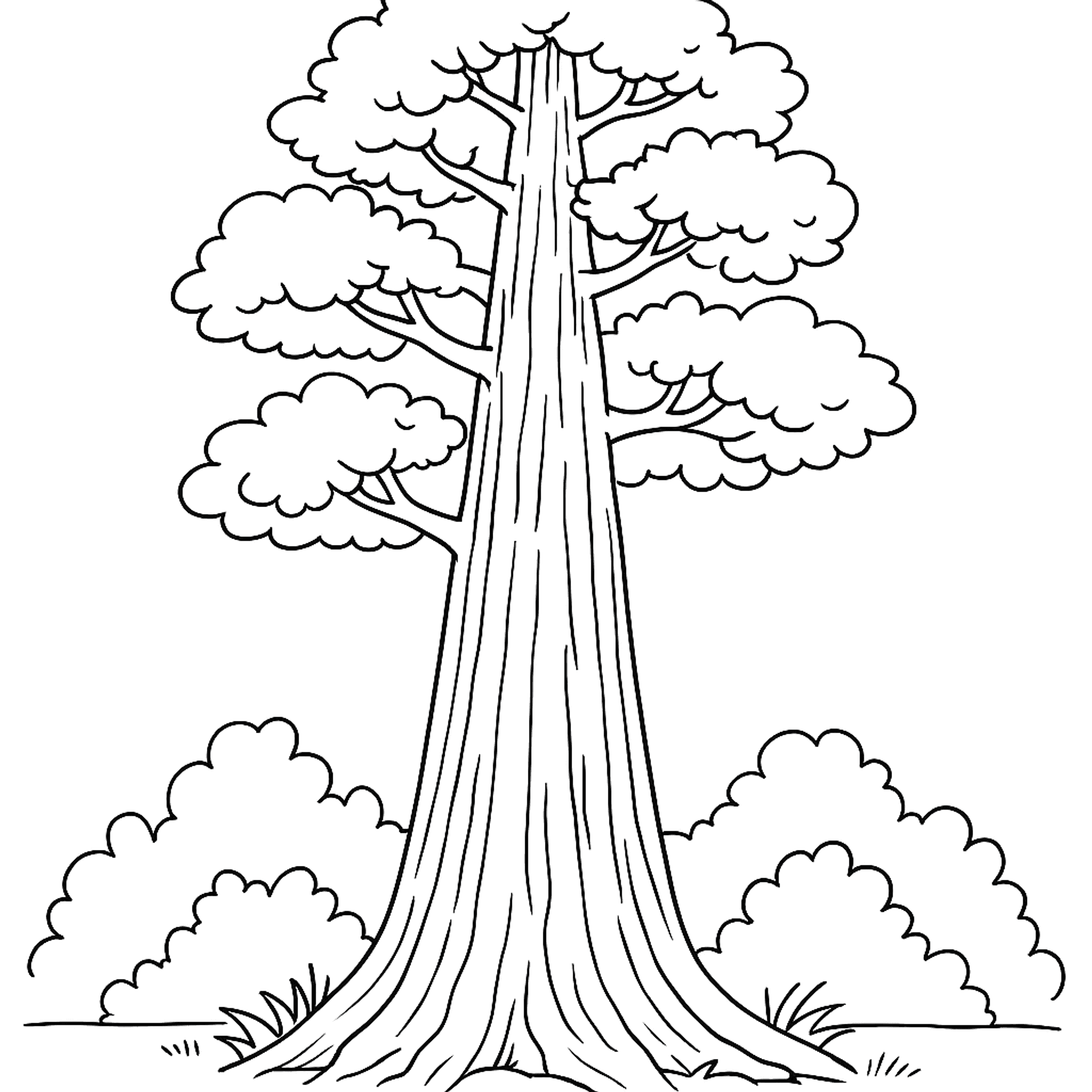 Reuzenboom Kleurplaat