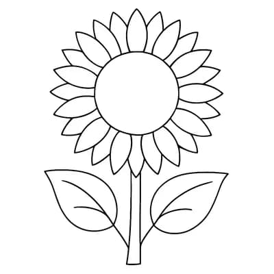 Zonnebloem Kleurplaat