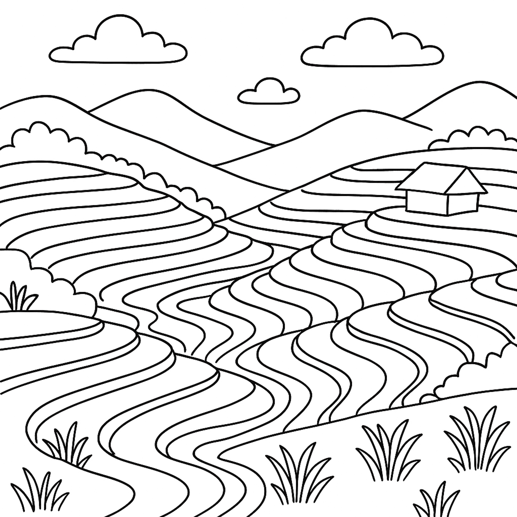 Terraced Rice Kleurplaat