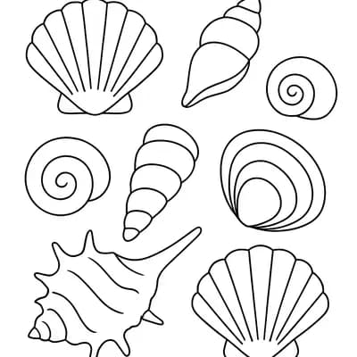 Schelpenverzameling Kleurplaat