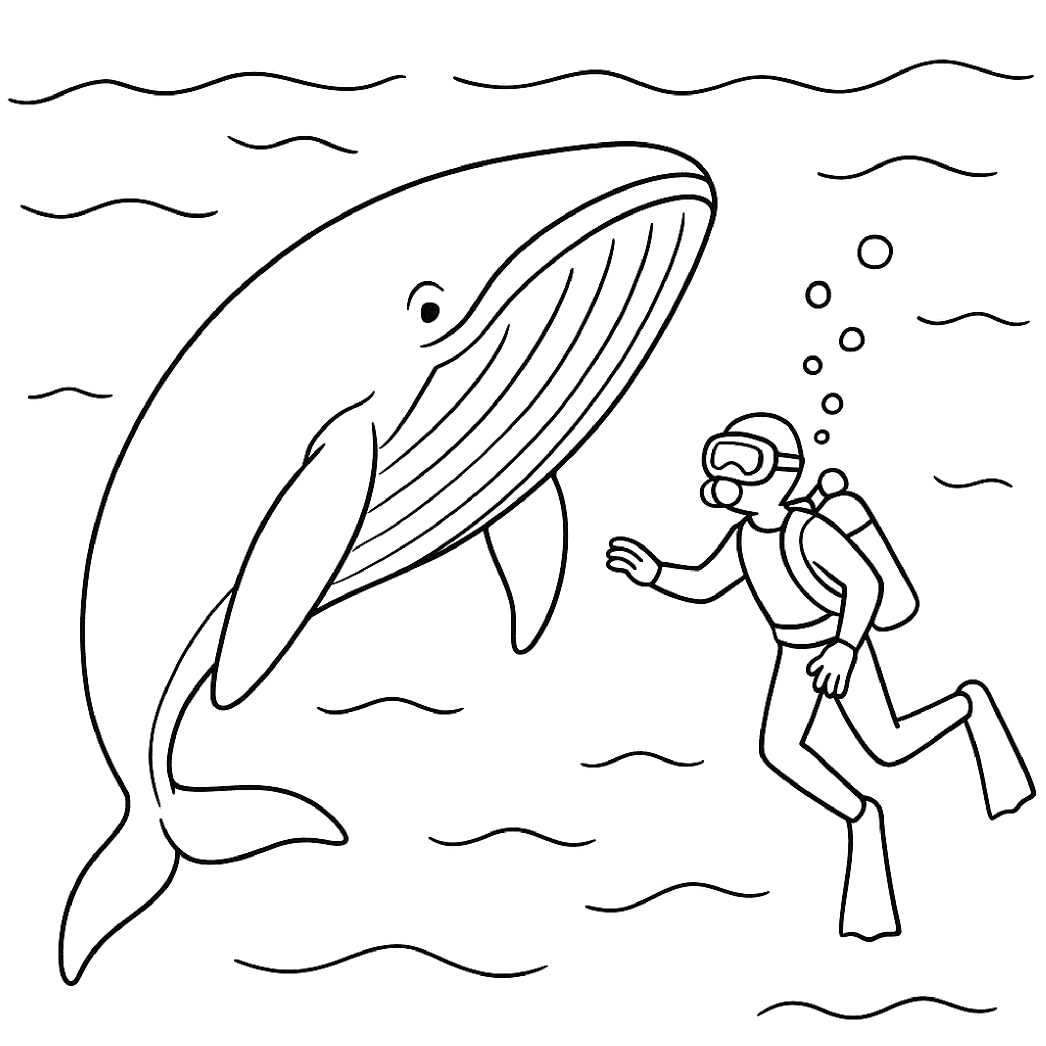 Walvis Ontmoeting Kleurplaat
