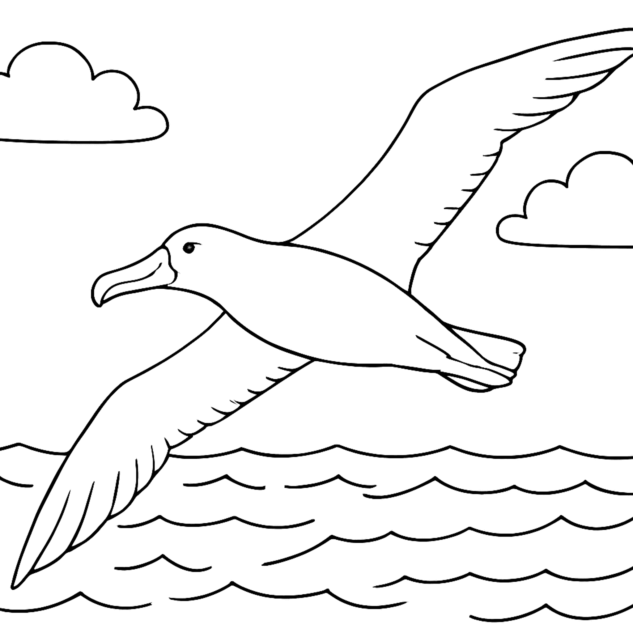 Albatros Kleurplaat