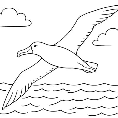 Albatros Kleurplaat