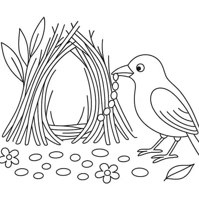 Bower Bird Kleurplaat