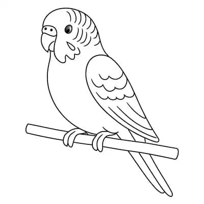 Parkiet Kleurplaat