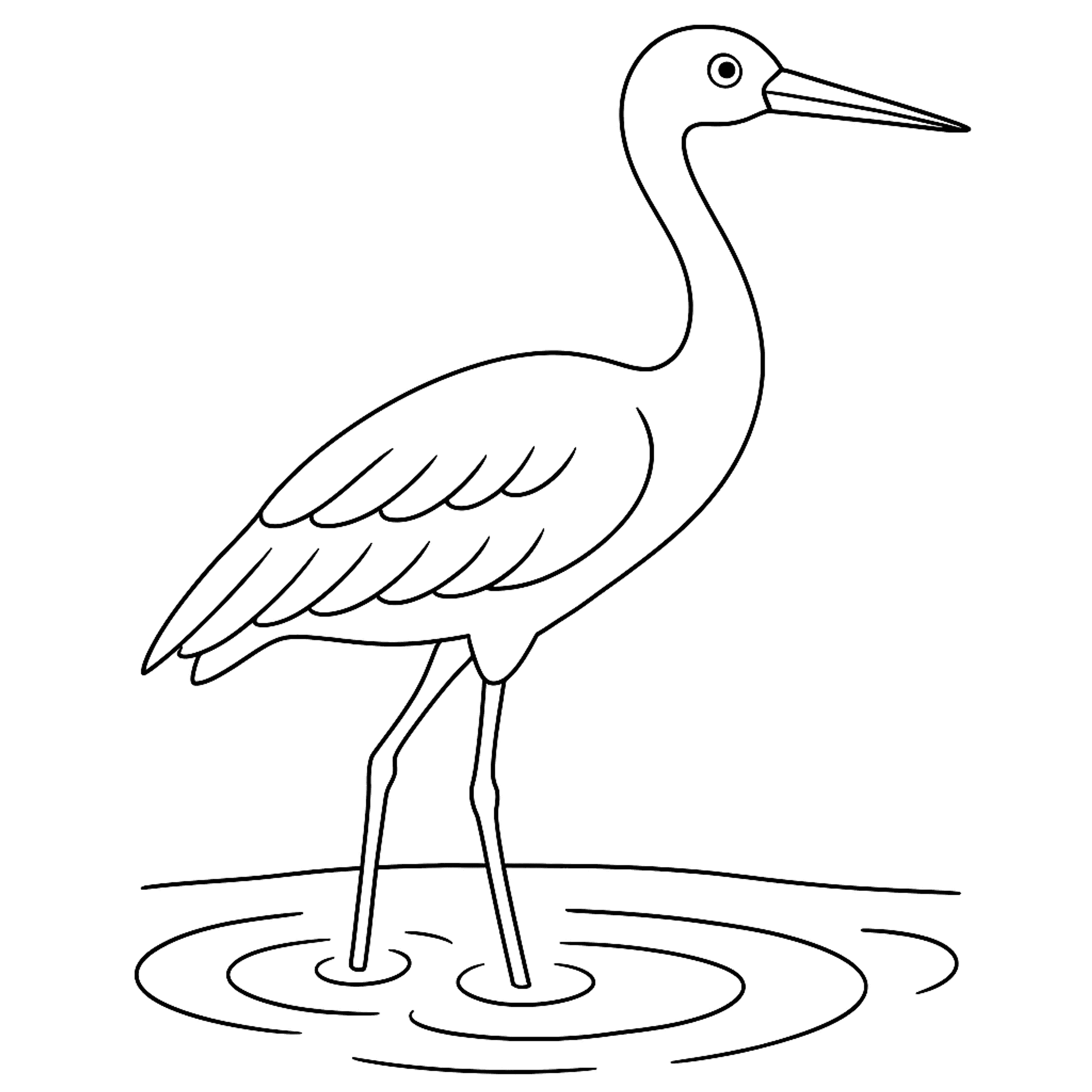 Kraanvogel Kleurplaat