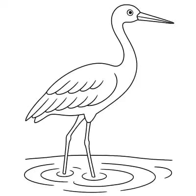 Kraanvogel Kleurplaat