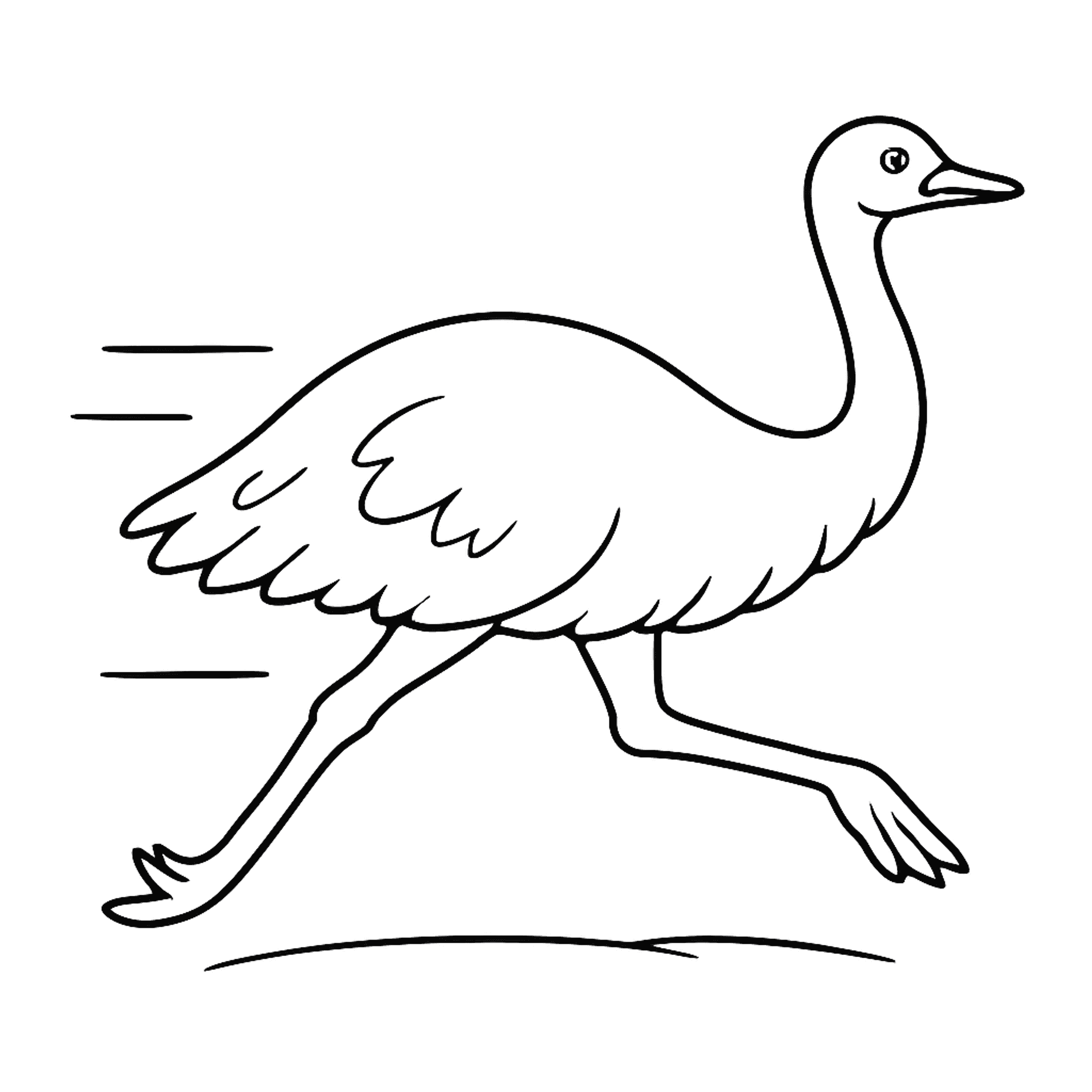 Emu Running Kleurplaat