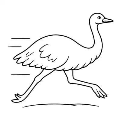 Emu Running Kleurplaat