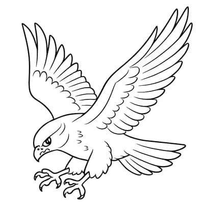 Falcon Diving Kleurplaat