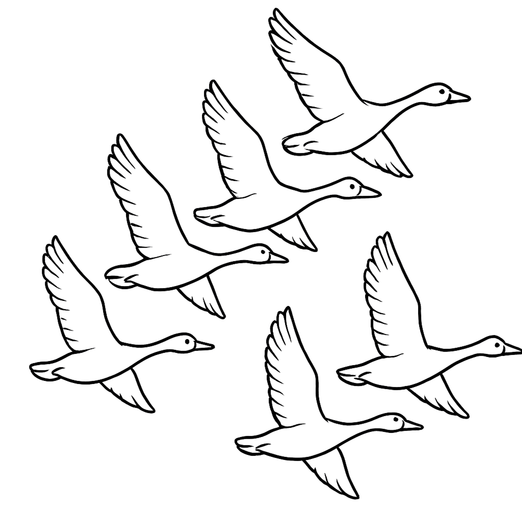 Goose Flying Kleurplaat