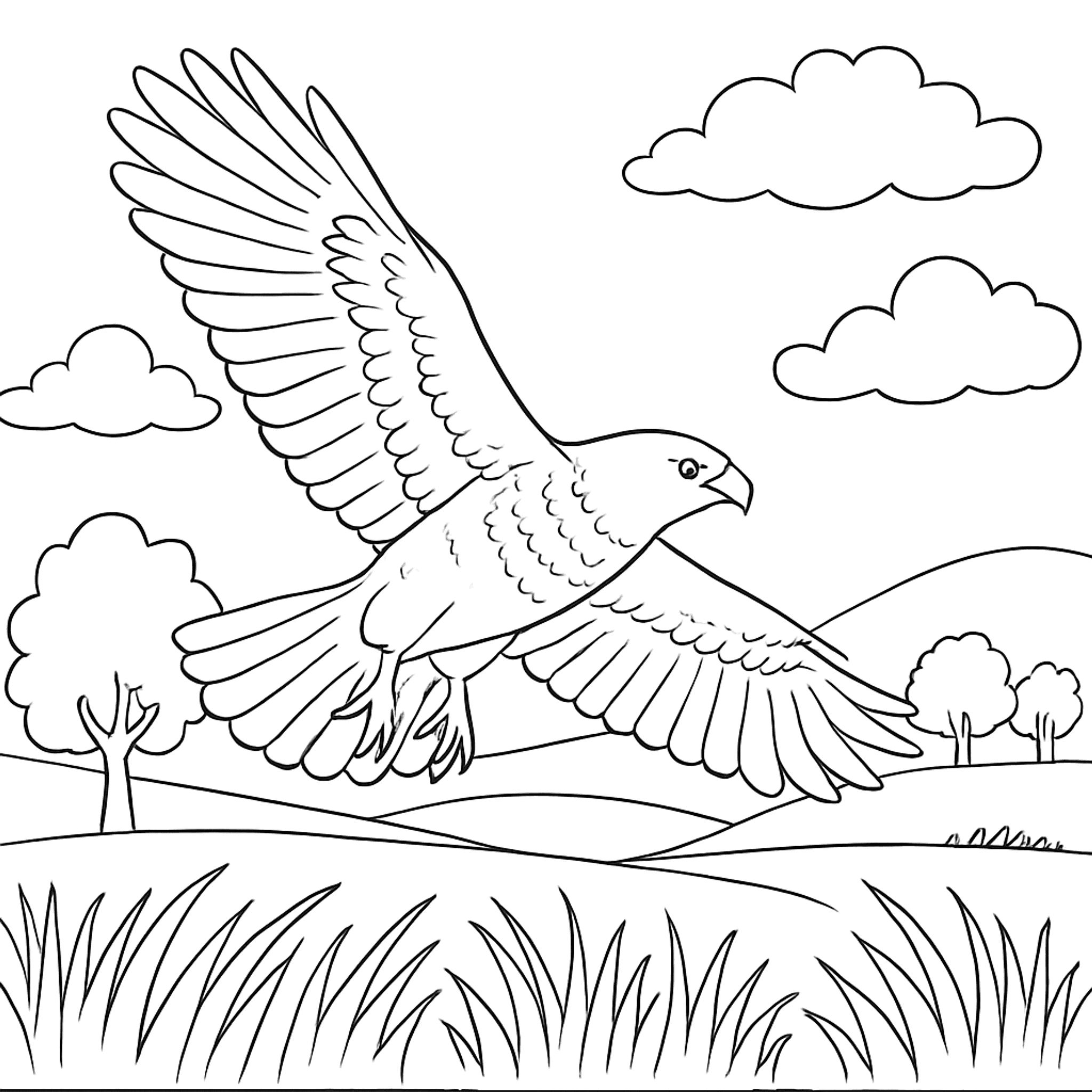 Hawk Circling Kleurplaat