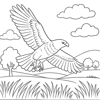Hawk Circling Kleurplaat
