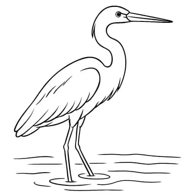 Reiger Kleurplaat