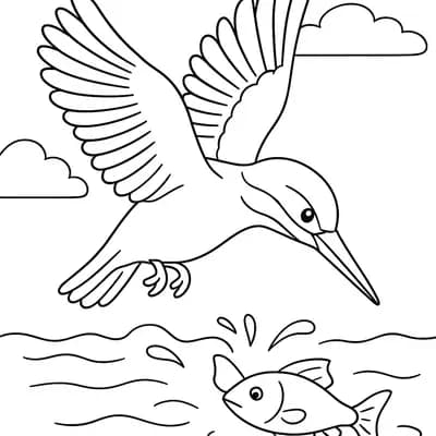 IJsvogel Kleurplaat