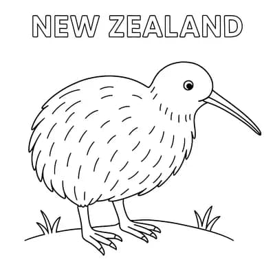 Kiwi Vogel Kleurplaat