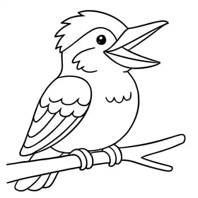 Kookaburra Kleurplaat