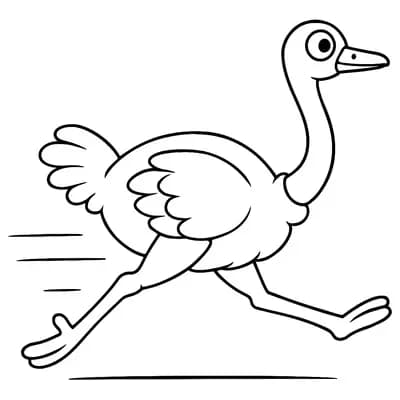 Struisvogel Kleurplaat