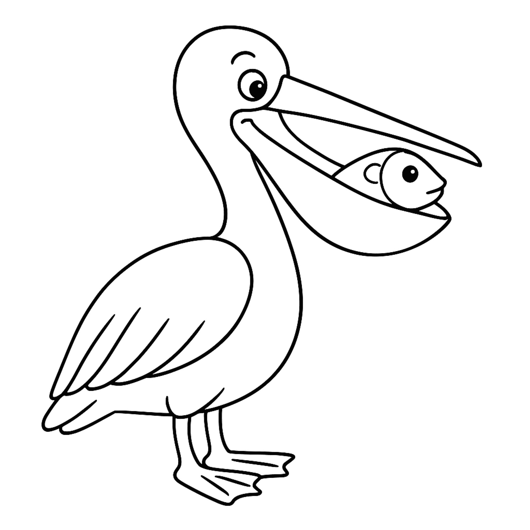 Pelikaan Kleurplaat
