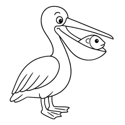 Pelikaan Kleurplaat