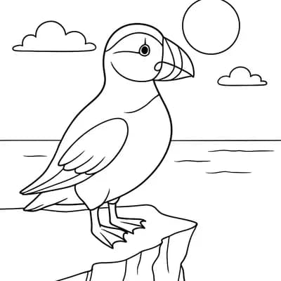 Papegaaiduiker Kleurplaat