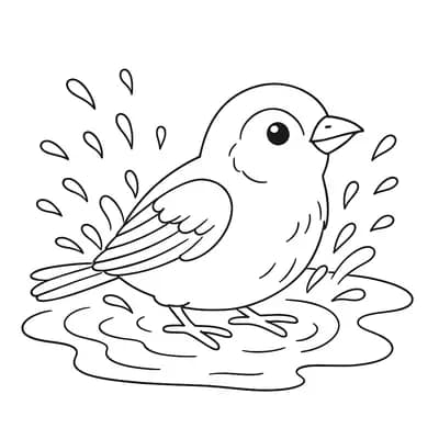 Sparrow Bathing Kleurplaat