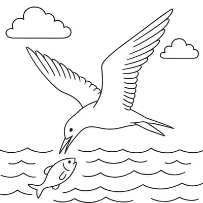 Tern Diving Kleurplaat