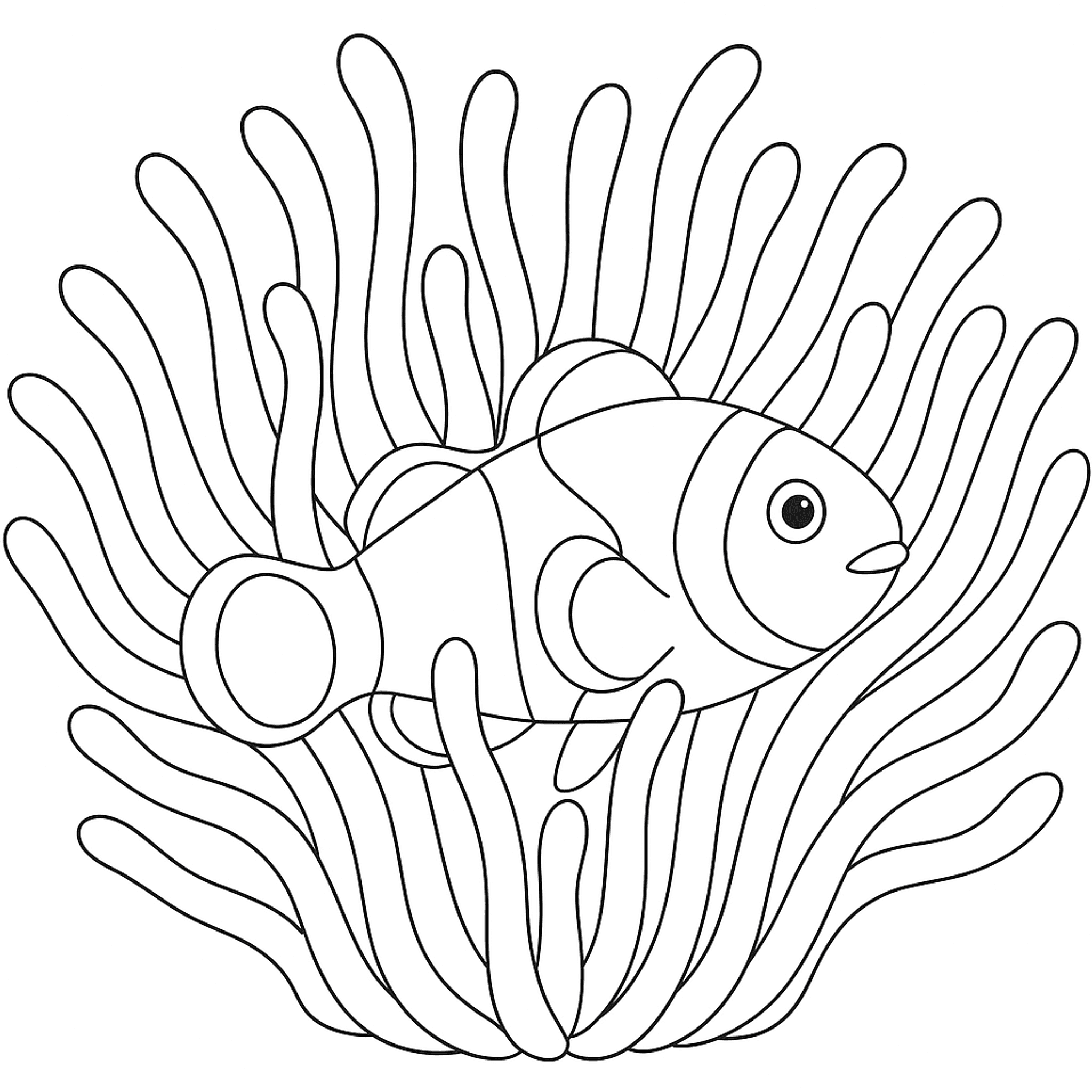 Anemoonvis Kleurplaat