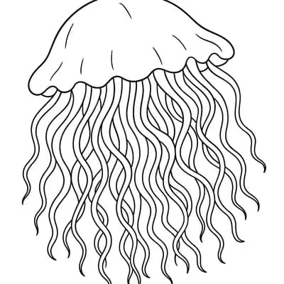 Arctic Jellyfish Kleurplaat