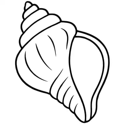 Conch Shell Kleurplaat