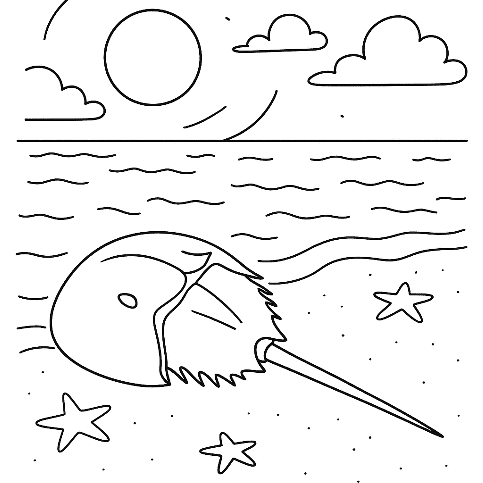 Horseshoe Crab Kleurplaat