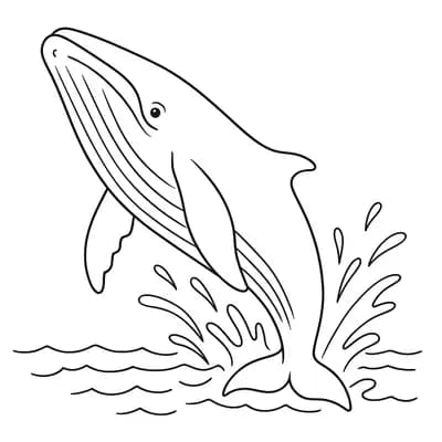 Bultrug Walvis Kleurplaat