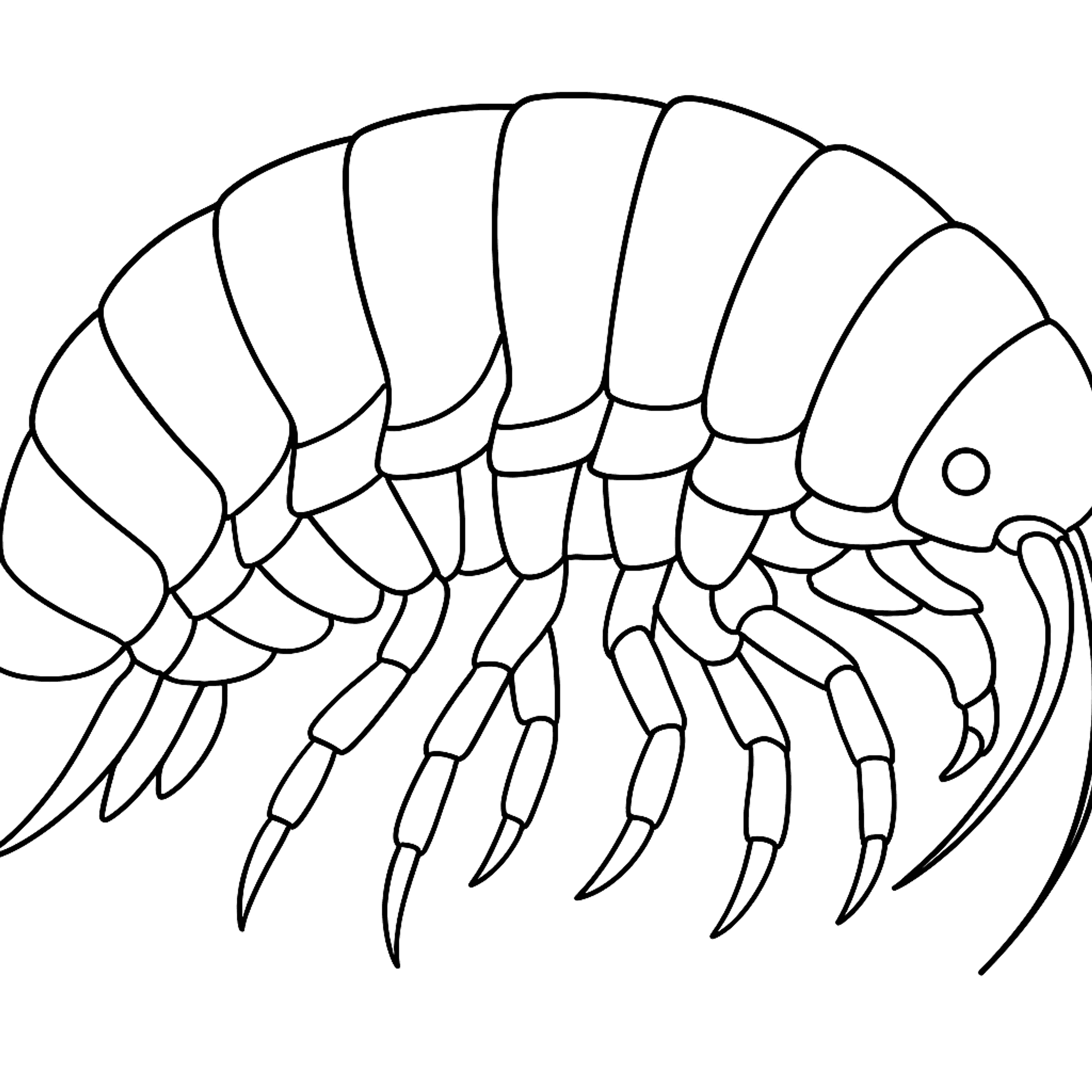 Isopod Giant Kleurplaat