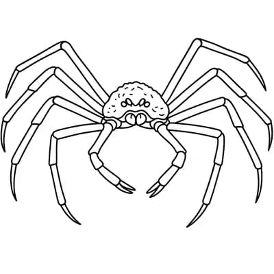 Japanese Spider Kleurplaat