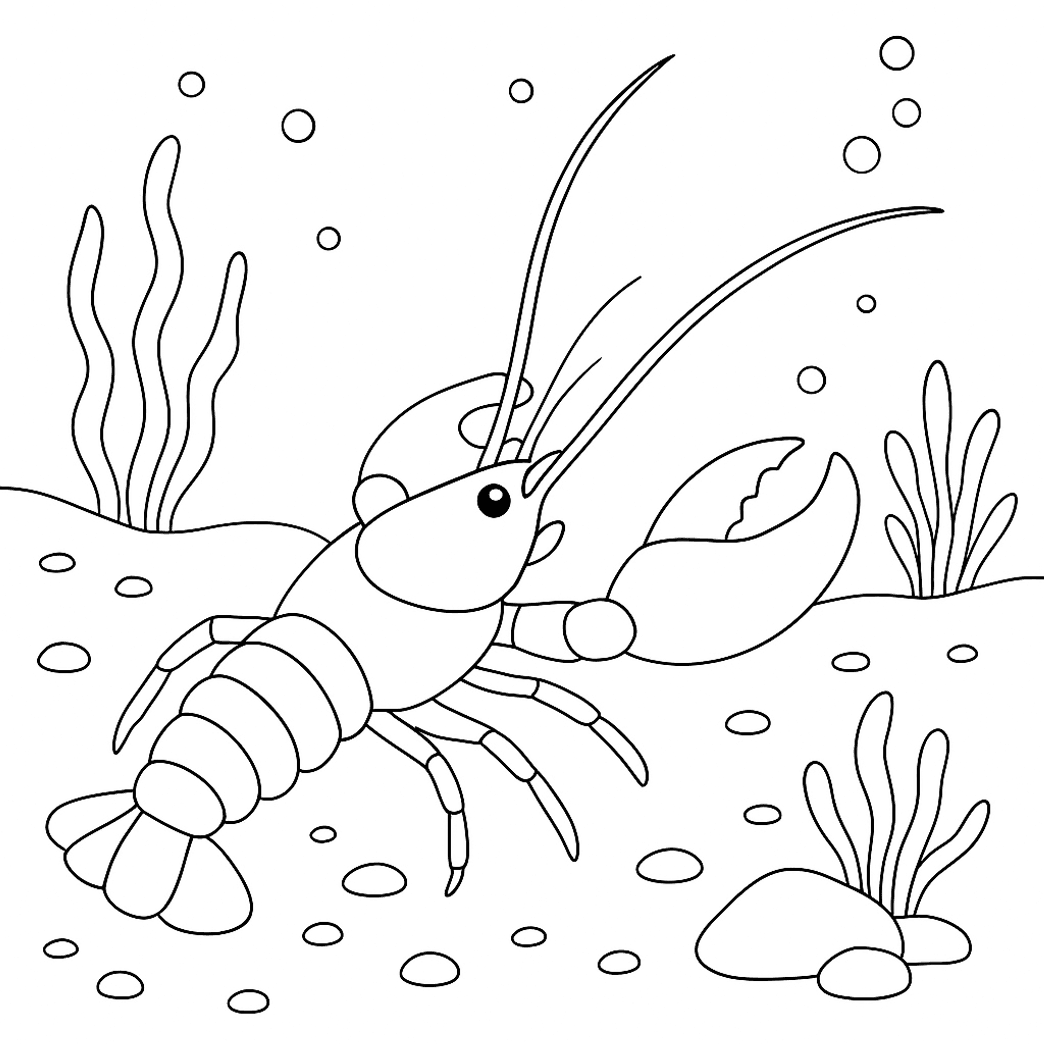 Kreeft Kleurplaat
